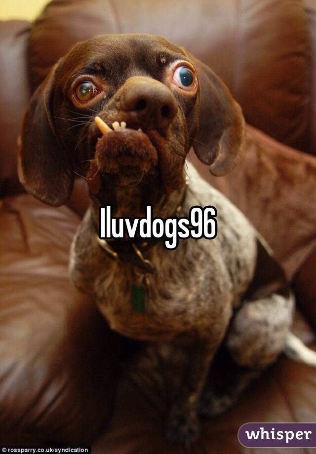 Iluvdogs96