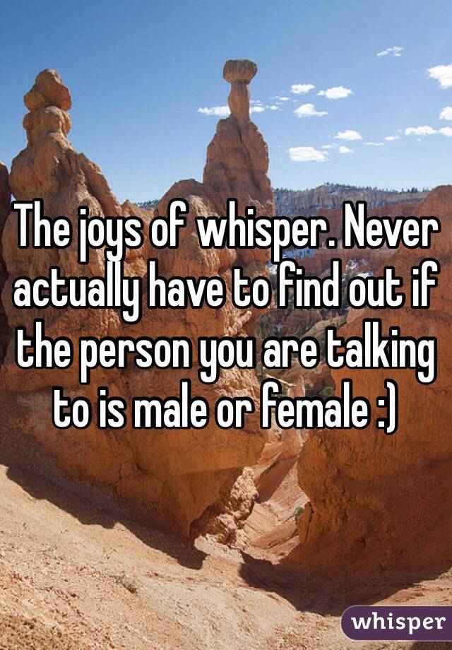 The joys of whisper. Never actually have to find out if the person you are talking to is male or female :)