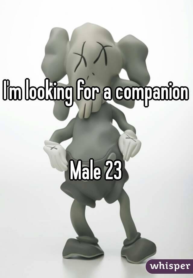 I'm looking for a companion 

Male 23