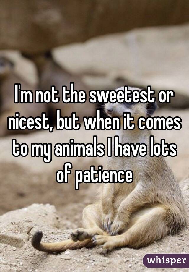 I'm not the sweetest or nicest, but when it comes to my animals I have lots of patience