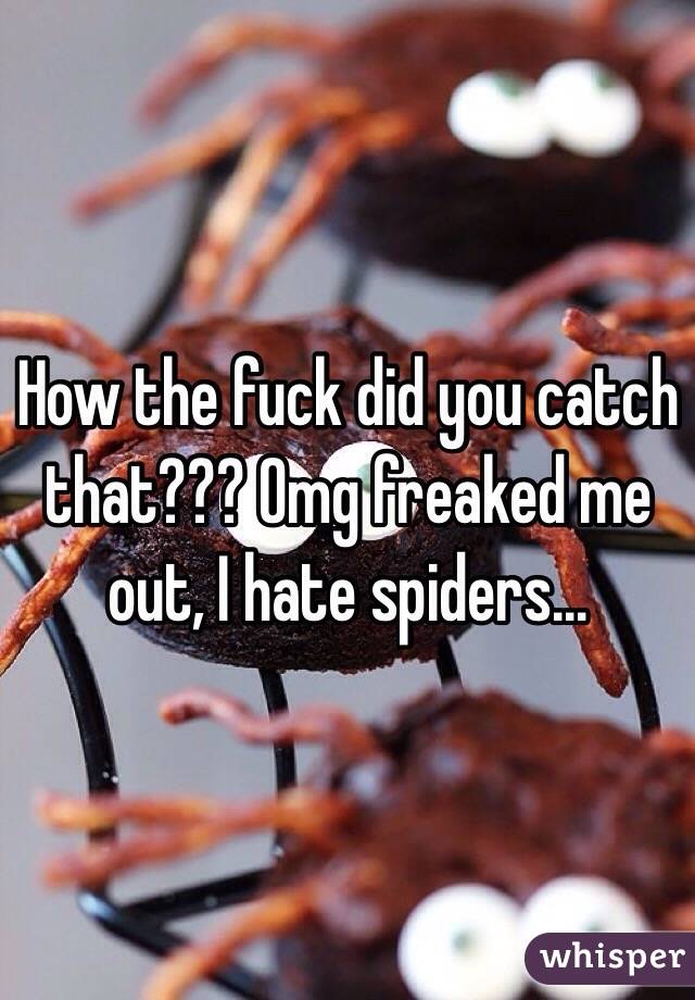 How the fuck did you catch that??? Omg freaked me out, I hate spiders...