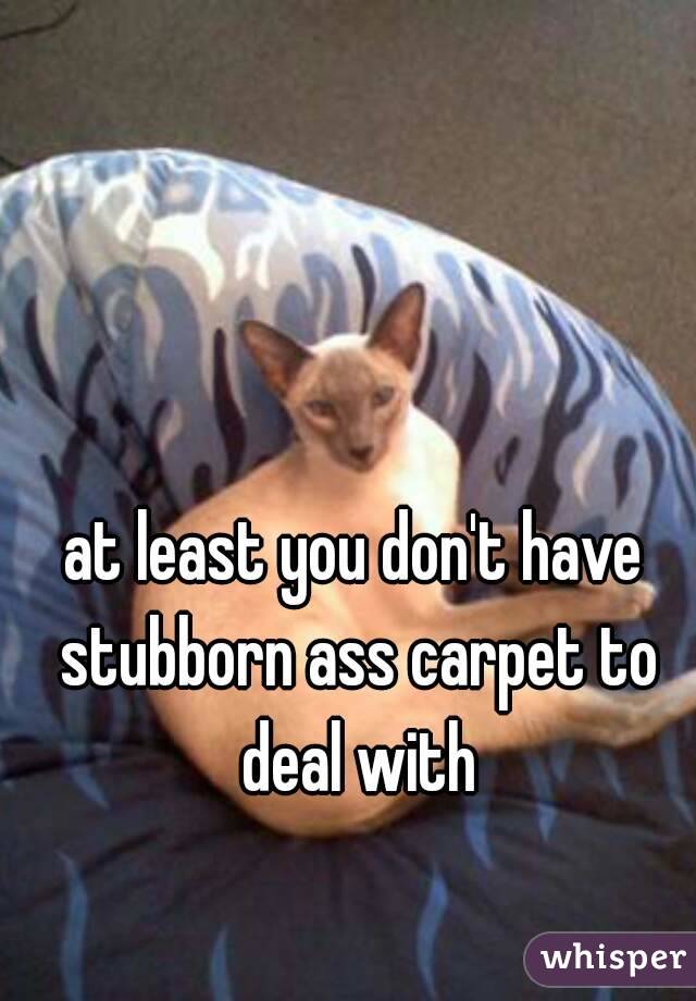at least you don't have stubborn ass carpet to deal with