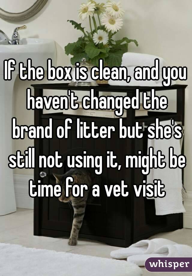 If the box is clean, and you haven't changed the brand of litter but she's still not using it, might be time for a vet visit