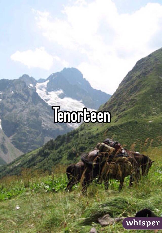 Tenorteen