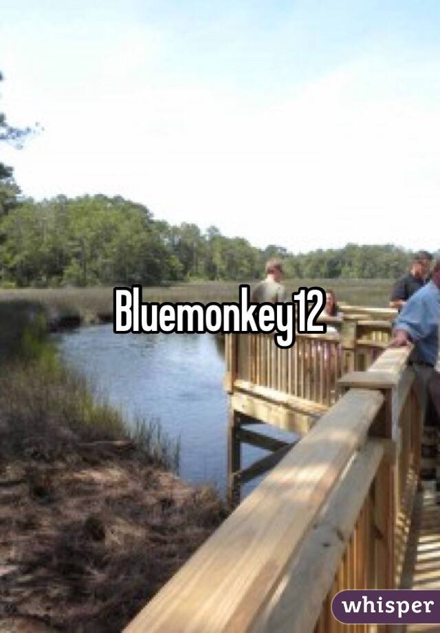 Bluemonkey12