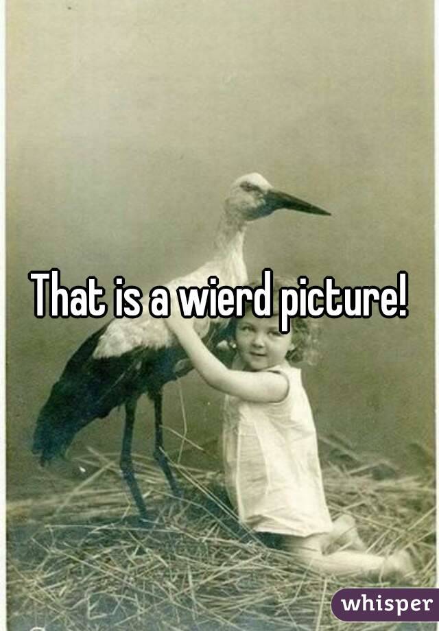 That is a wierd picture!