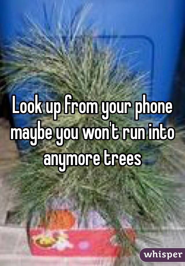 Look up from your phone maybe you won't run into anymore trees
