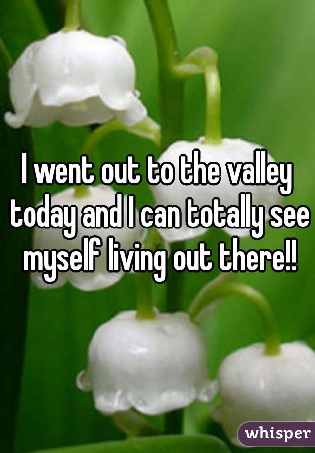 I went out to the valley today and I can totally see myself living out there!!