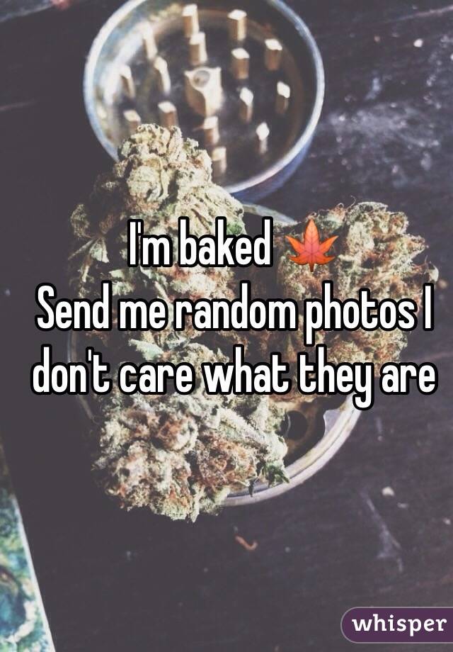 I'm baked 🍁
Send me random photos I don't care what they are 