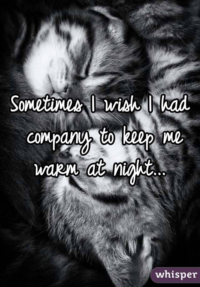 Sometimes I wish I had company to keep me warm at night... 