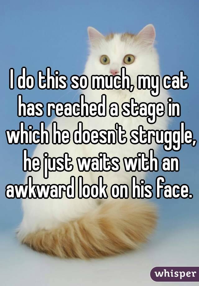 I do this so much, my cat has reached a stage in  which he doesn't struggle, he just waits with an awkward look on his face. 