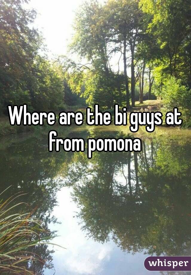 Where are the bi guys at from pomona 