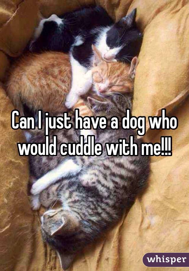 Can I just have a dog who would cuddle with me!!! 