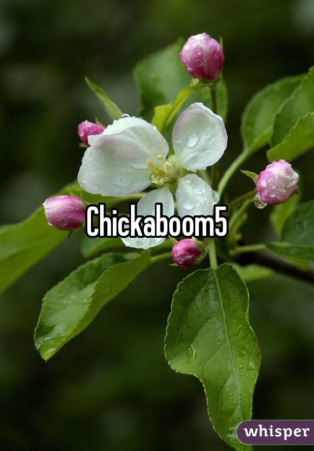 Chickaboom5