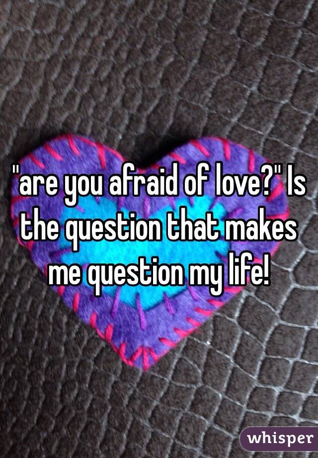  "are you afraid of love?" Is the question that makes me question my life! 