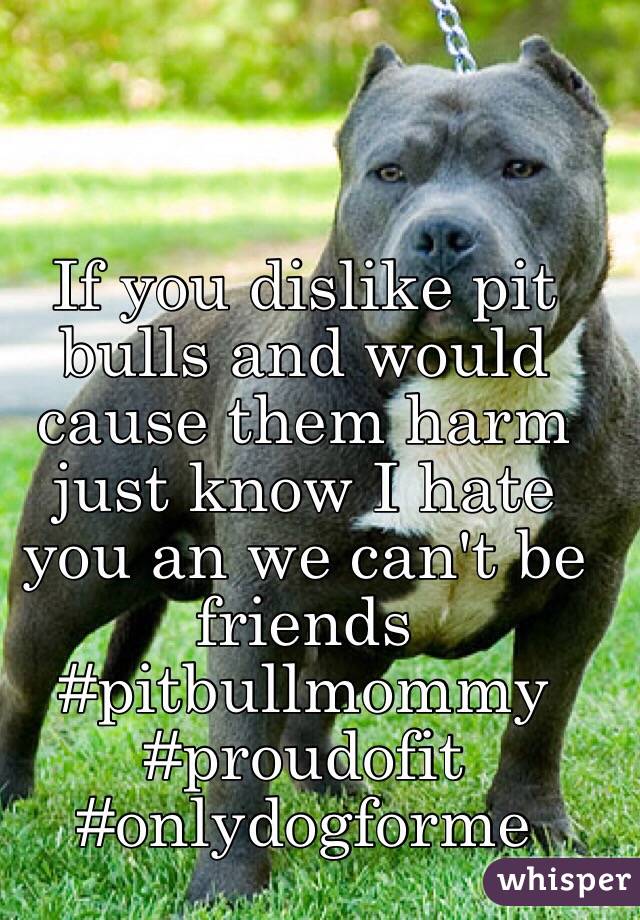 If you dislike pit bulls and would cause them harm just know I hate you an we can't be friends #pitbullmommy #proudofit #onlydogforme