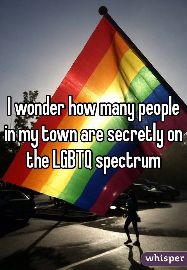 I wonder how many people in my town are secretly on the LGBTQ spectrum 