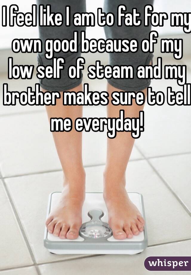 I feel like I am to fat for my own good because of my low self of steam and my brother makes sure to tell me everyday! 