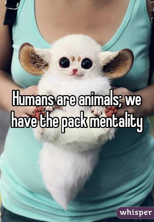 Humans are animals; we have the pack mentality
