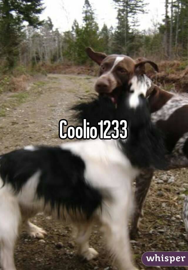 Coolio1233