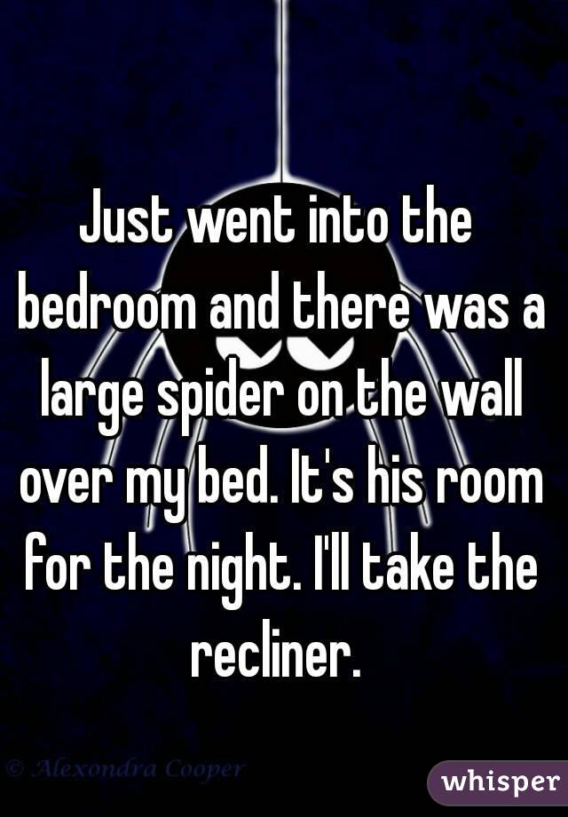 Just went into the bedroom and there was a large spider on the wall over my bed. It's his room for the night. I'll take the recliner. 