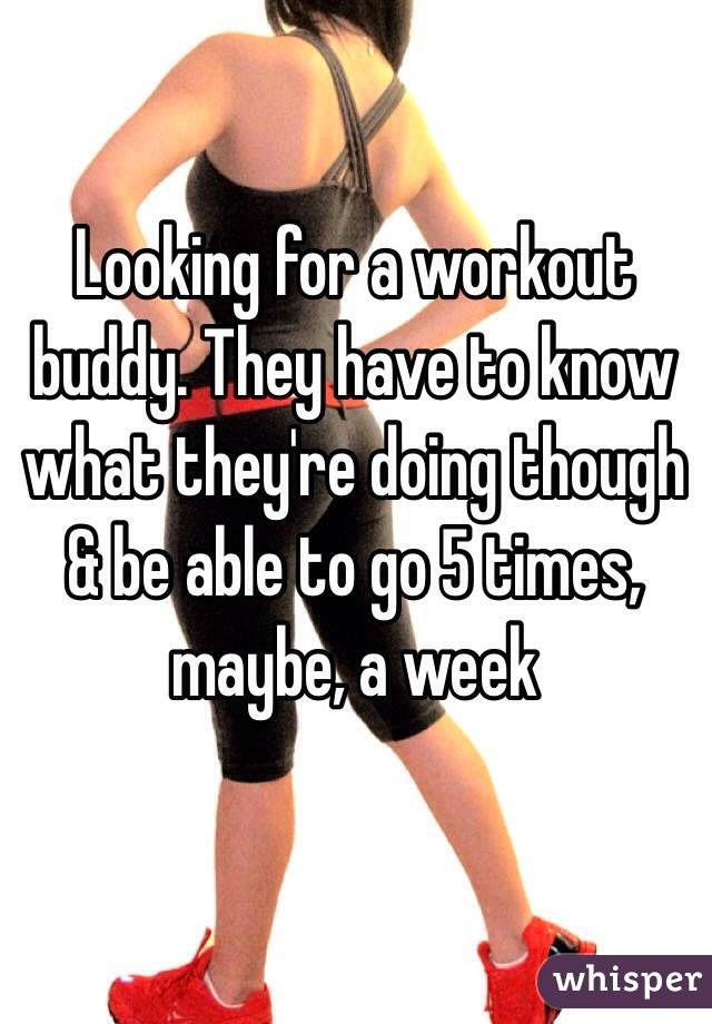 Looking for a workout buddy. They have to know what they're doing though & be able to go 5 times, maybe, a week
