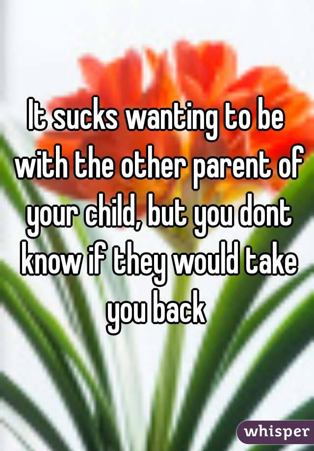 It sucks wanting to be with the other parent of your child, but you dont know if they would take you back 