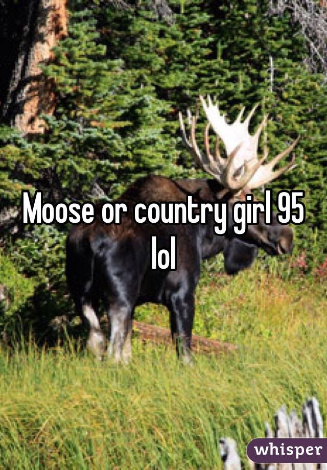 Moose or country girl 95 lol