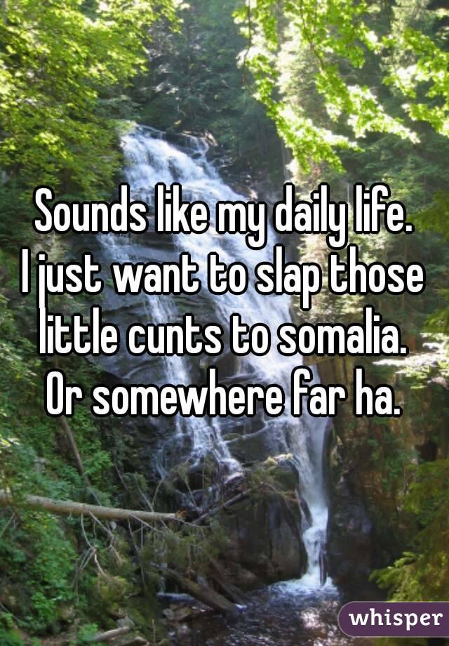 Sounds like my daily life.
I just want to slap those little cunts to somalia. 
Or somewhere far ha.