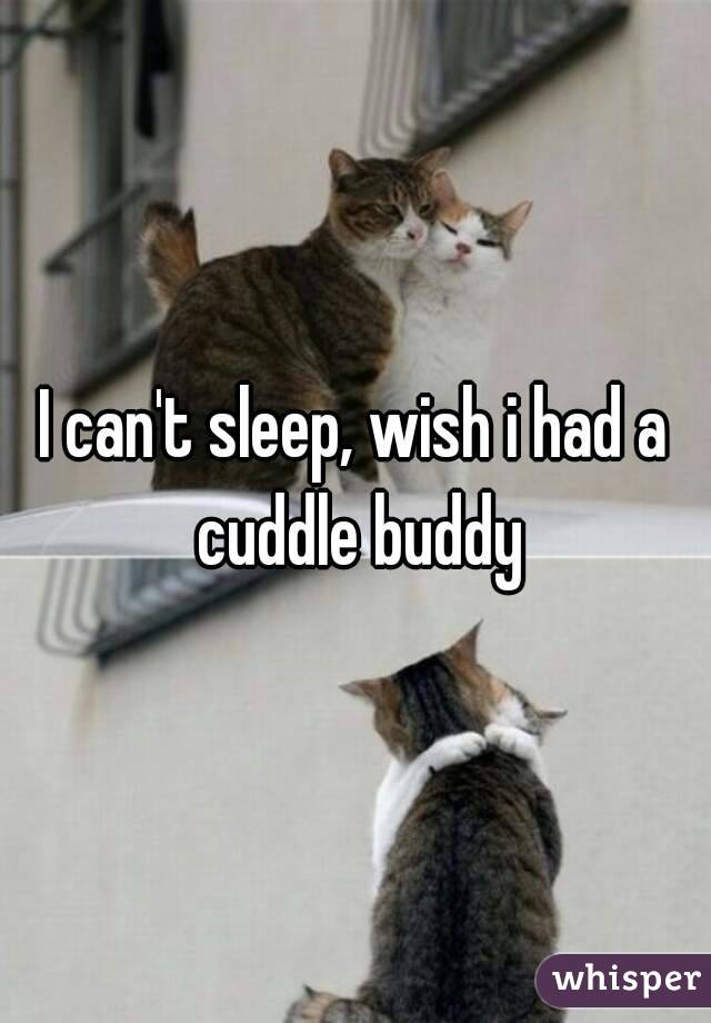 I can't sleep, wish i had a cuddle buddy