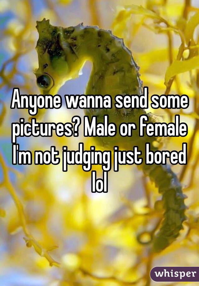 Anyone wanna send some pictures? Male or female I'm not judging just bored lol