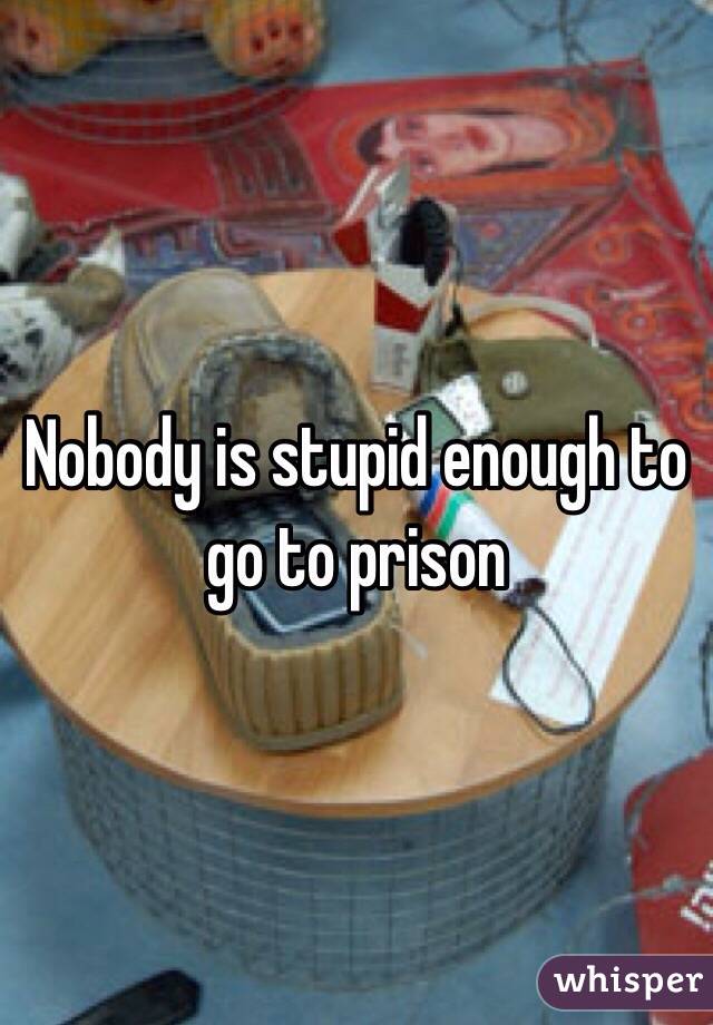 Nobody is stupid enough to go to prison