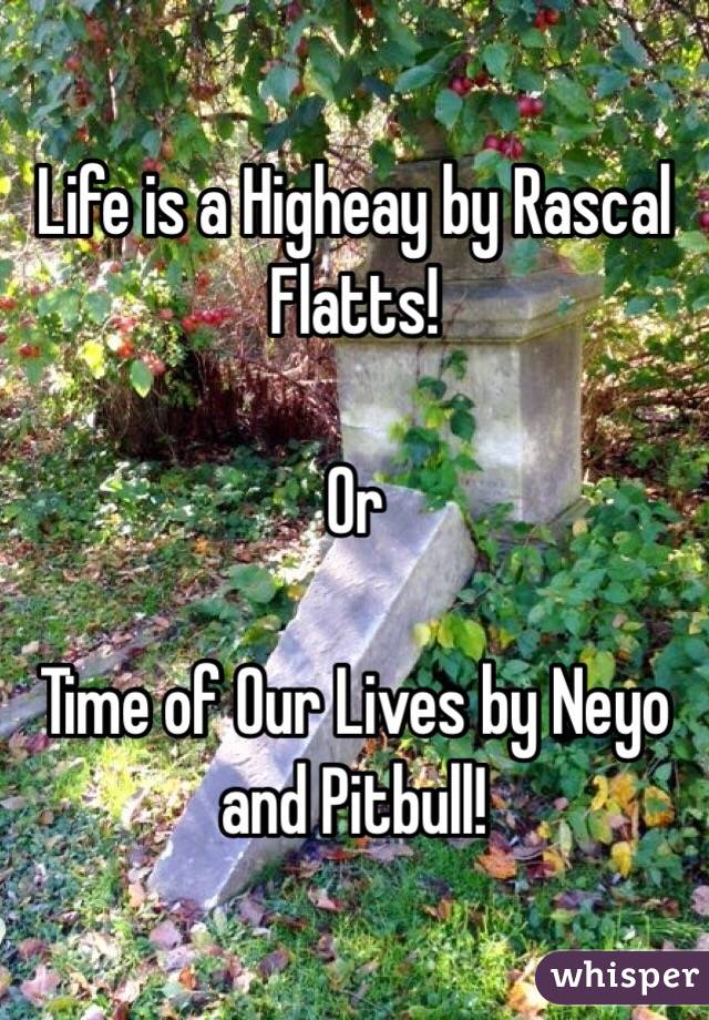 Life is a Higheay by Rascal Flatts!

Or 

Time of Our Lives by Neyo and Pitbull!