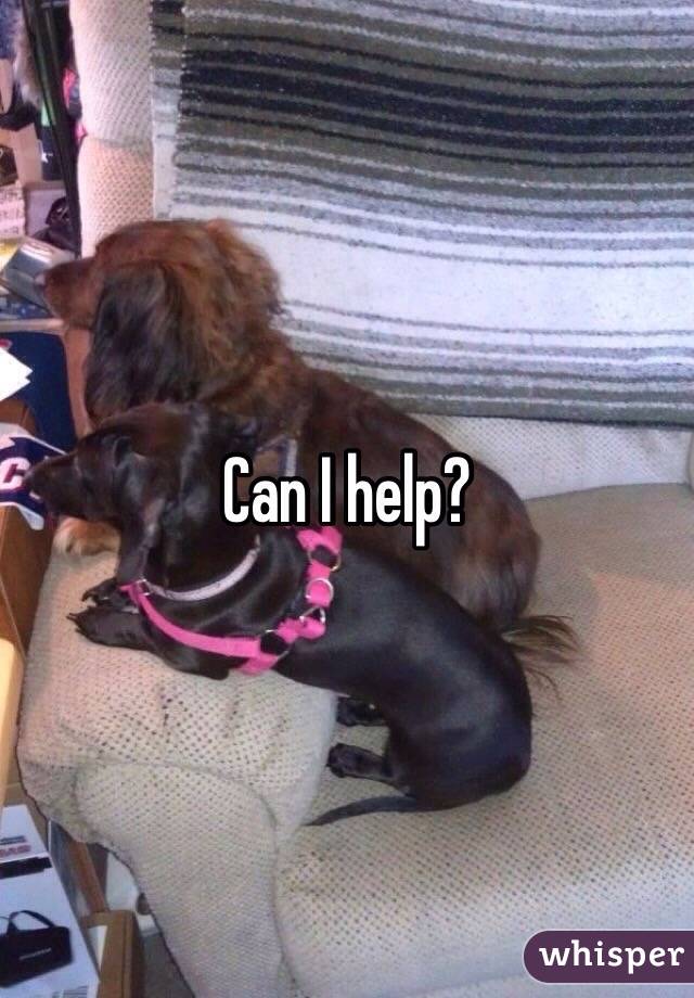 Can I help?