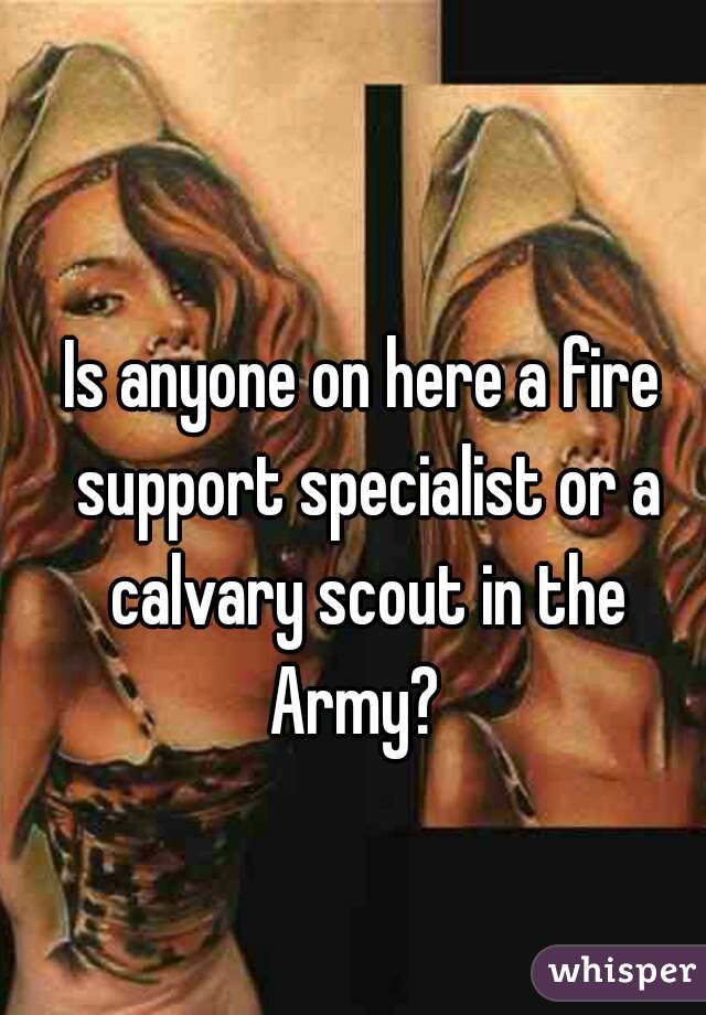 Is anyone on here a fire support specialist or a calvary scout in the Army?  
