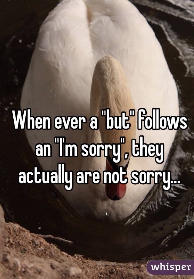 When ever a "but" follows an "I'm sorry", they actually are not sorry...