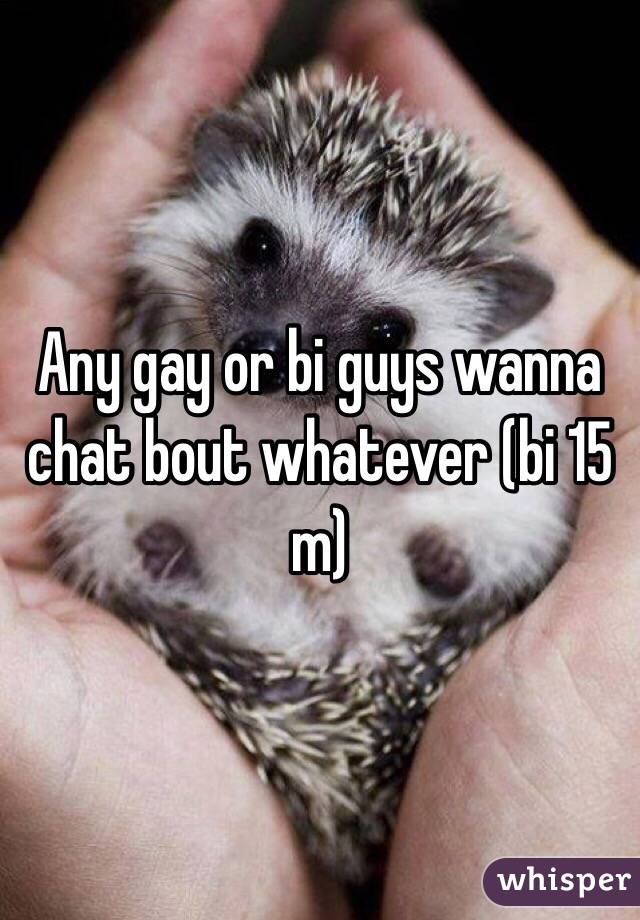 Any gay or bi guys wanna chat bout whatever (bi 15 m)
