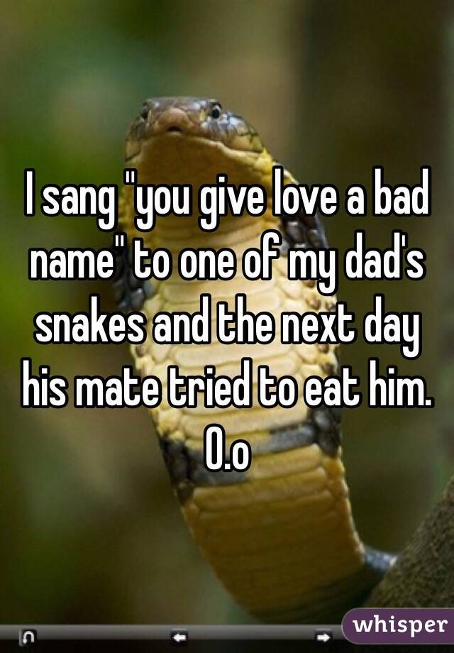  I sang "you give love a bad name" to one of my dad's snakes and the next day his mate tried to eat him. O.o