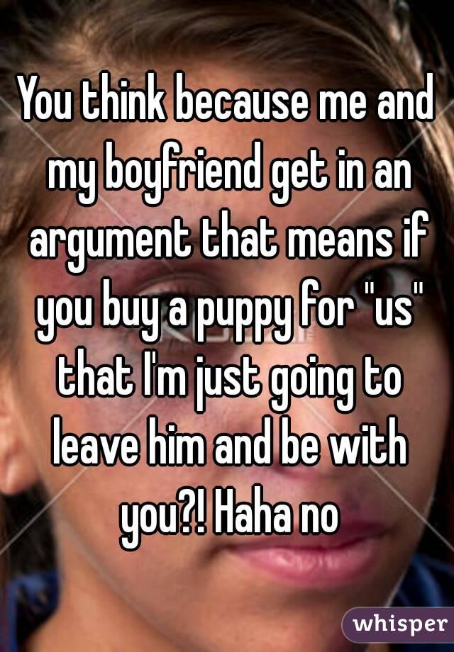 You think because me and my boyfriend get in an argument that means if you buy a puppy for "us" that I'm just going to leave him and be with you?! Haha no