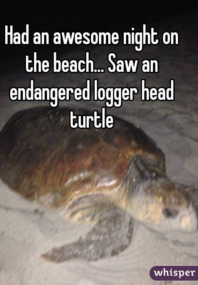Had an awesome night on the beach... Saw an endangered logger head turtle 