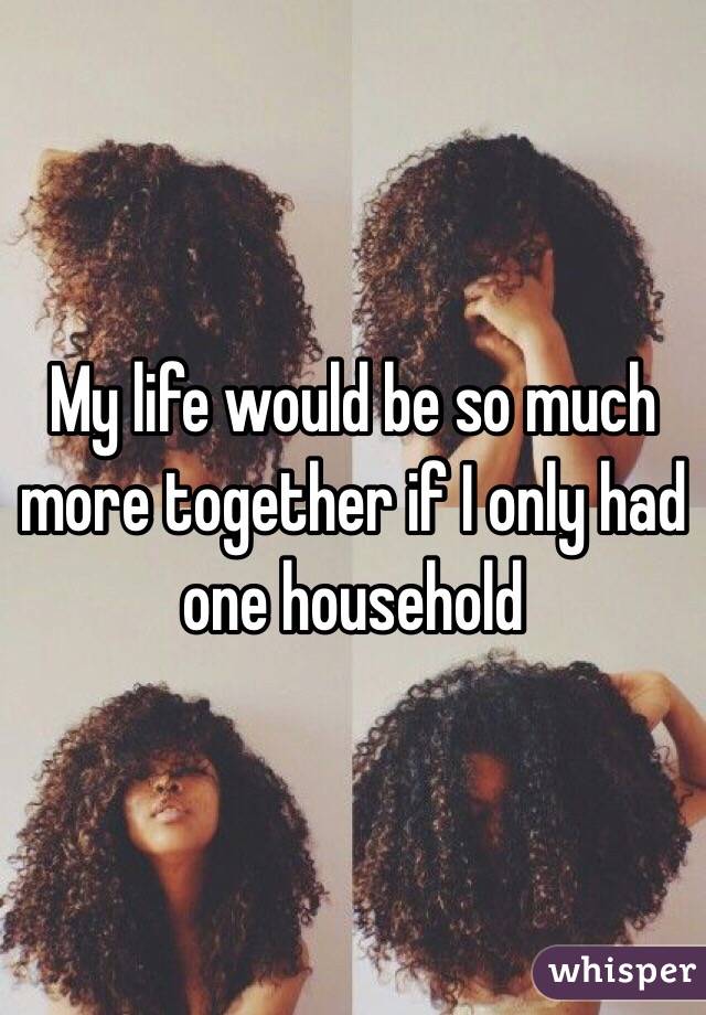 My life would be so much more together if I only had one household 