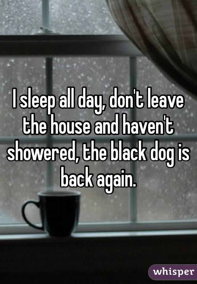 I sleep all day, don't leave the house and haven't showered, the black dog is back again. 