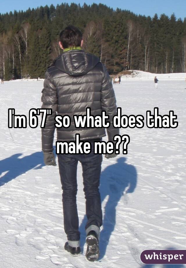I'm 6'7" so what does that make me??