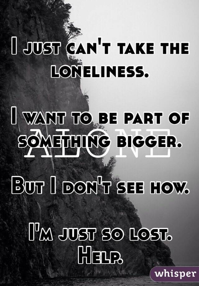 I just can't take the loneliness. 

I want to be part of something bigger.

But I don't see how. 

I'm just so lost. Help.