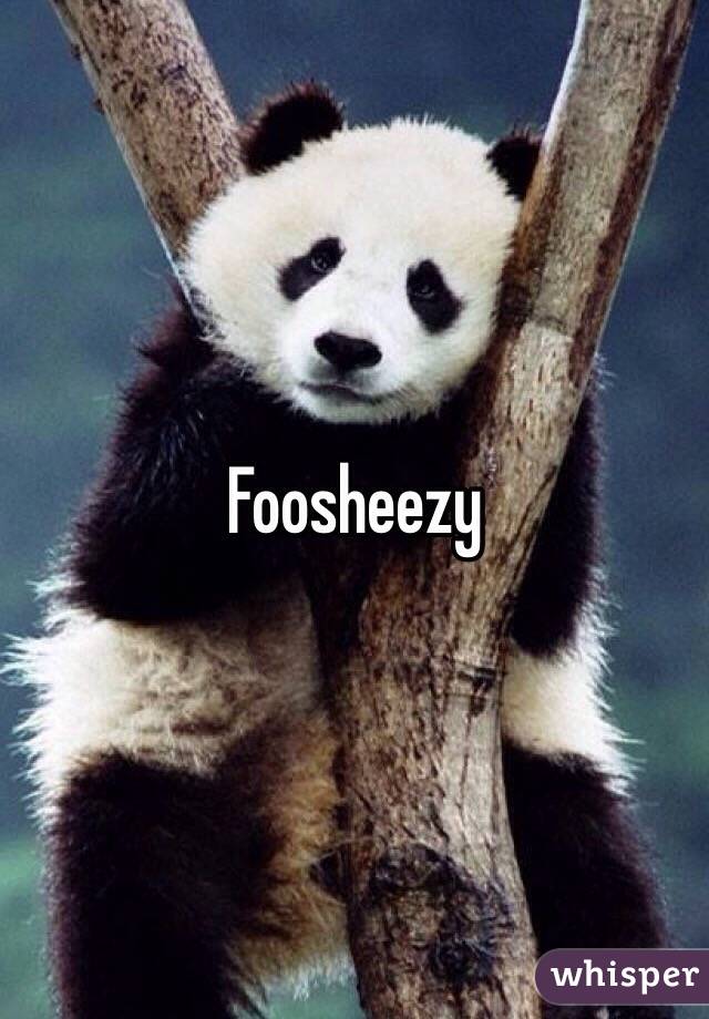 Foosheezy