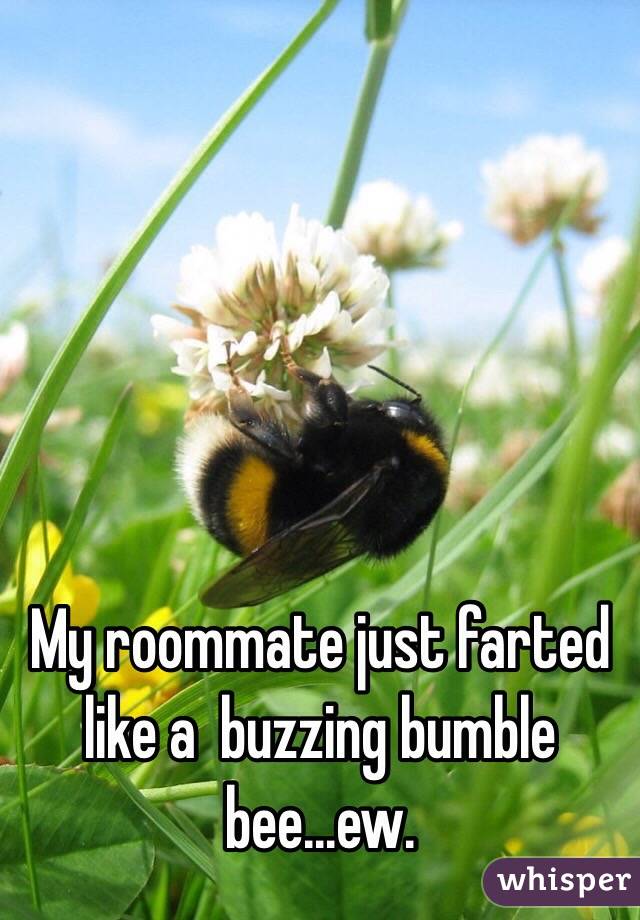 My roommate just farted like a  buzzing bumble bee...ew.