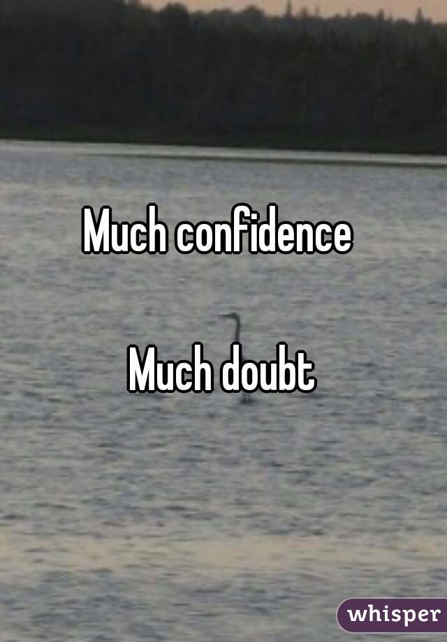 Much confidence 

Much doubt
