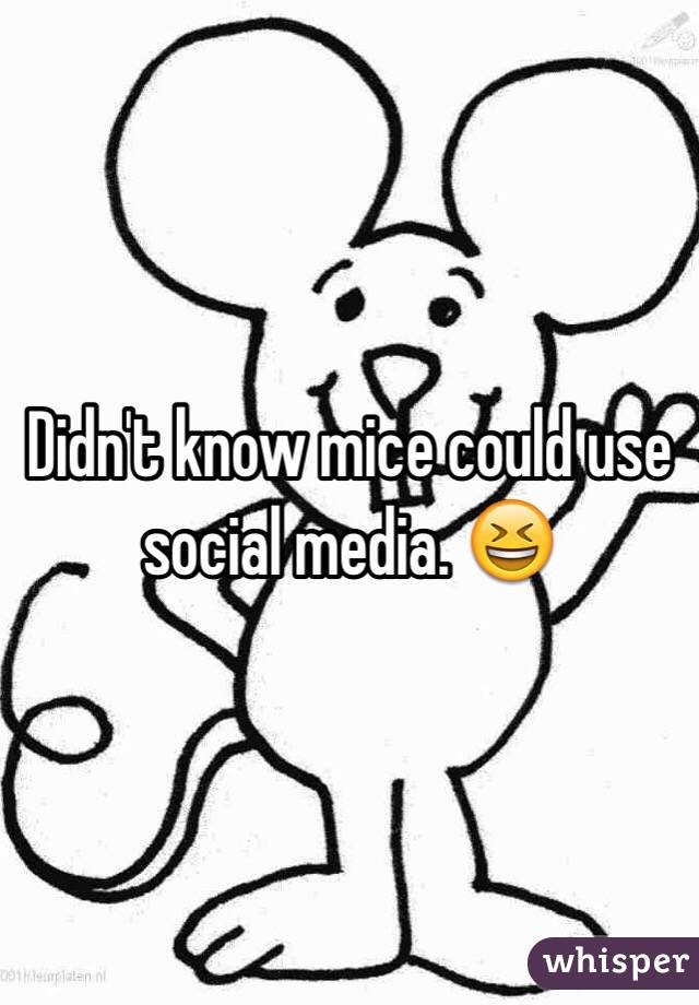 Didn't know mice could use social media. 😆
