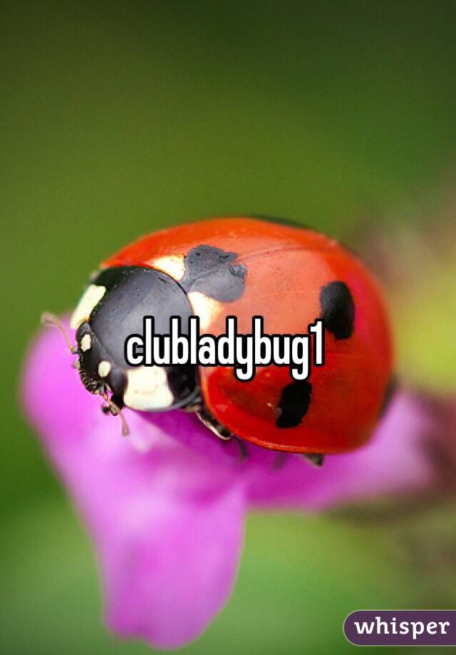 clubladybug1