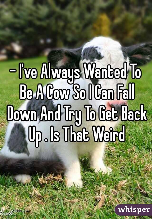 - I've Always Wanted To Be A Cow So I Can Fall Down And Try To Get Back Up . Is That Weird
